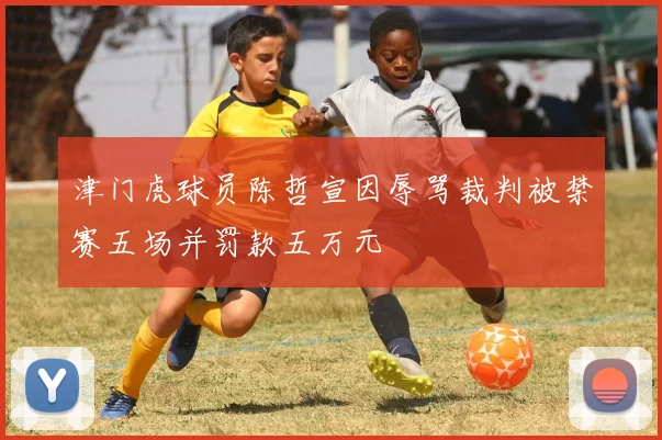 津门虎球员陈哲宣因辱骂裁判被禁赛五场并罚款五万元