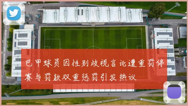 巴甲球员因性别歧视言论遭重罚停赛与罚款双重惩罚引发热议